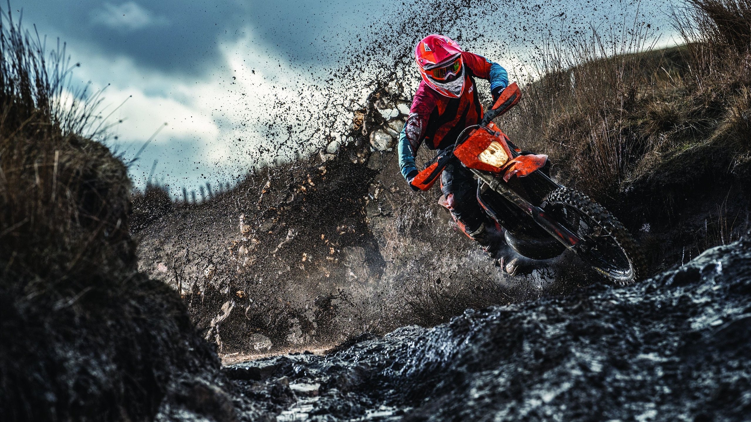 战术风暴，阿拉巴爆发引领黄潜全面压制墨西哥式足球